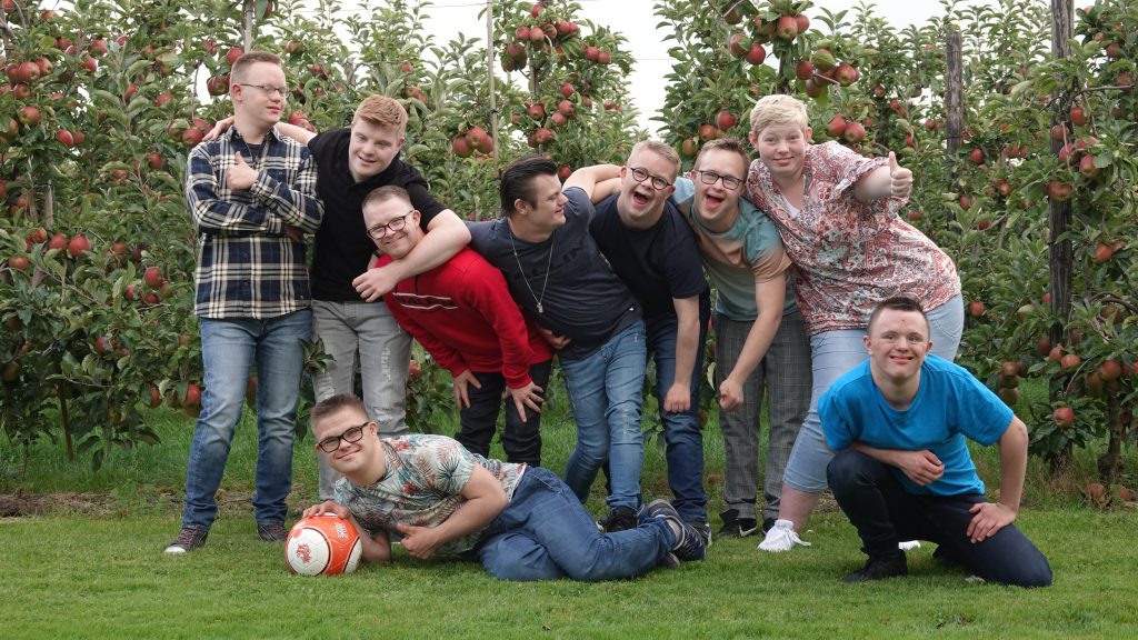 Bewoners van de Downdriehoek